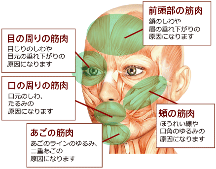 3Deepwave説明